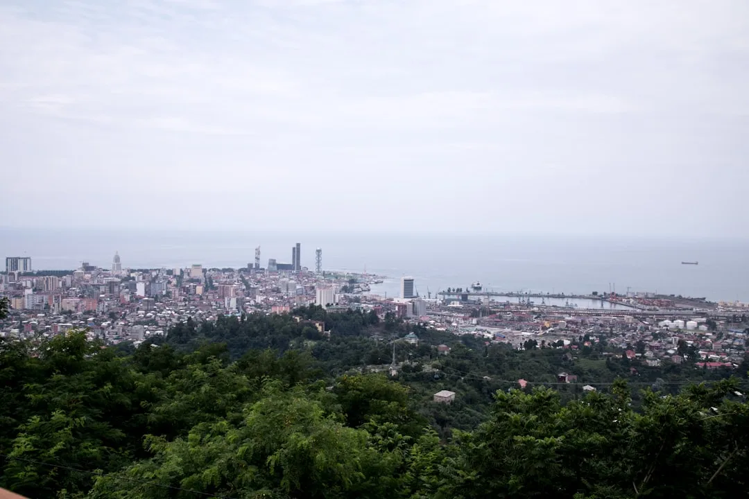 Toshkentdan Batumi parvozi — narx va bron