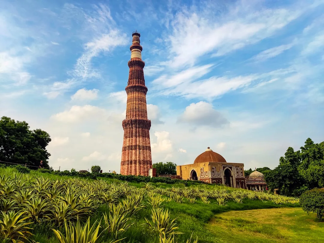 TAS → DEL — Dehli parvoz