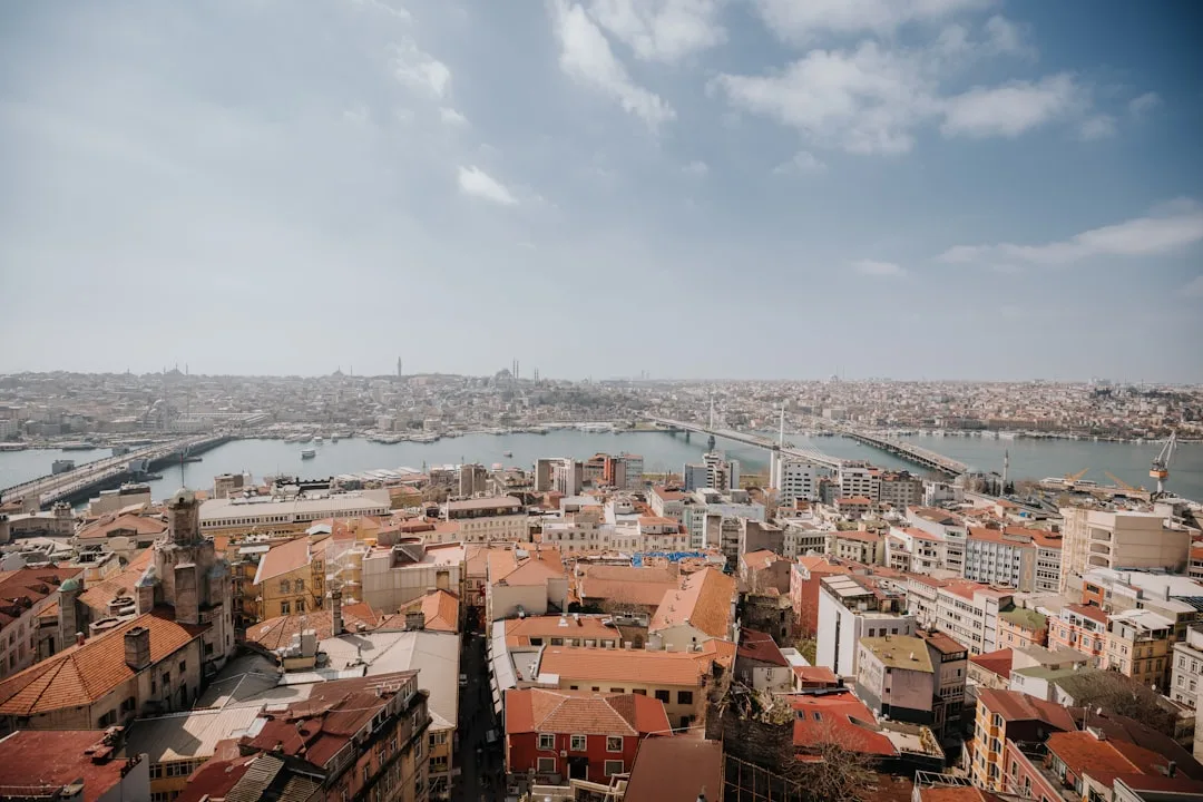 Istanbul manzarasi — arzon aviachiptalar UzAirDesk
