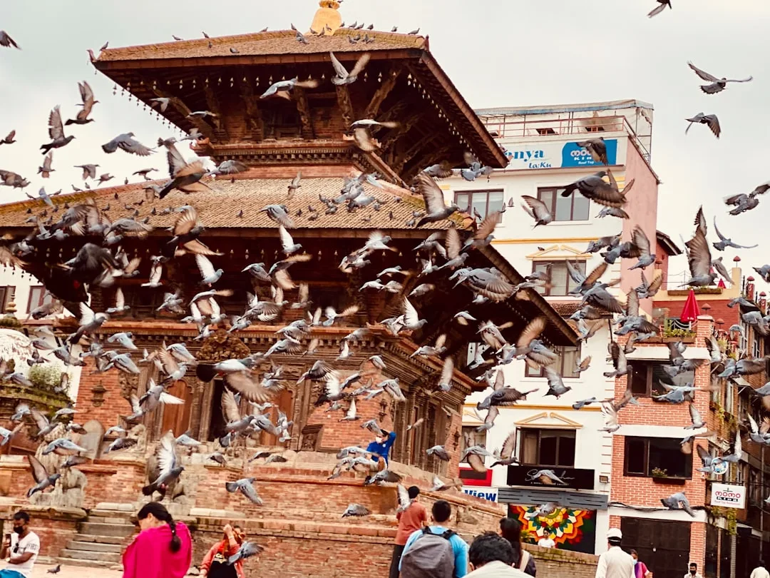 TAS → KTM — Katmandu parvoz