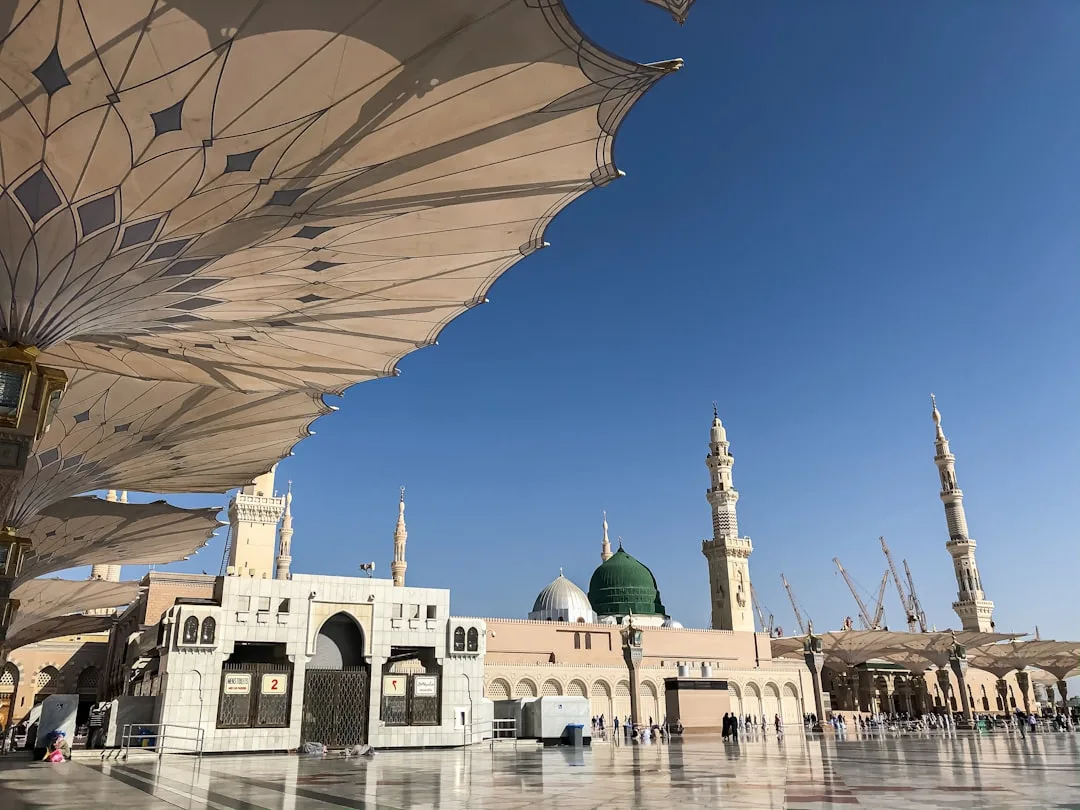 TAS → MED — Madina parvoz