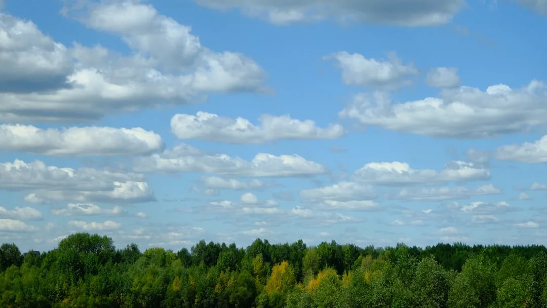 Novosibirsk ko'chalari — Rossiya vizasi
