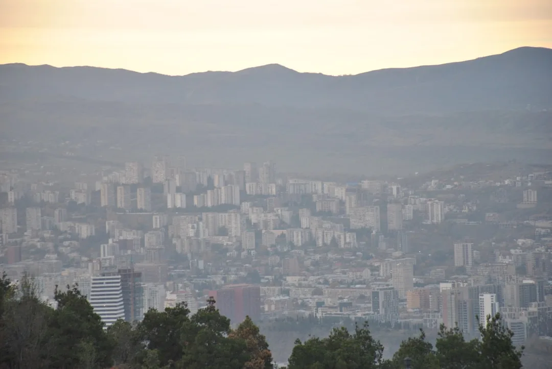 Toshkentdan Tbilisi parvozi — narx va bron
