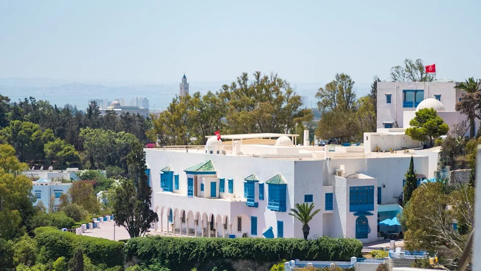 Tunis diqqatga sazovor joylari — Tunis sayohati