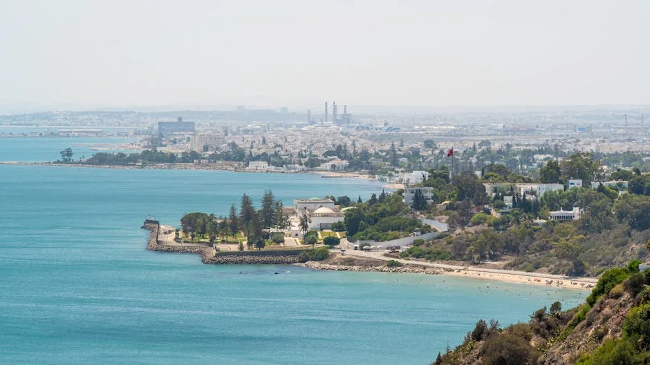 Toshkentdan Tunis parvozi — narx va bron