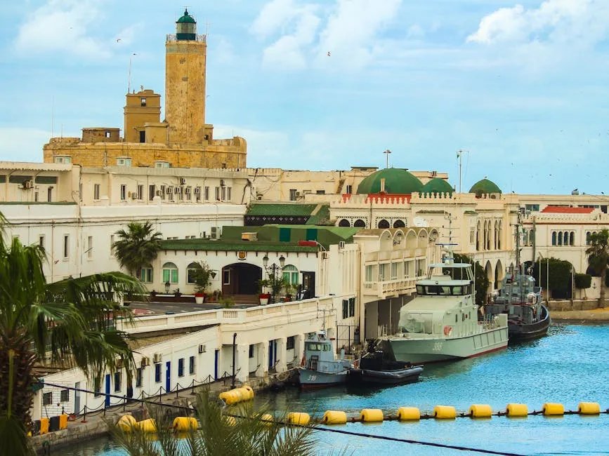 Tunis ko'chalari — Tunis vizasi