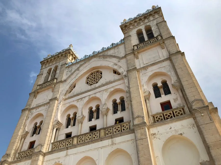 Tunis — Toshkentdan arzon chipta 2026
