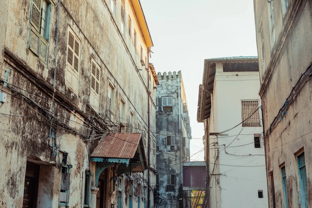 Zanzibar ko'chalari — Tanzaniya vizasi